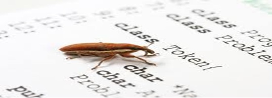 Porgramming bugs